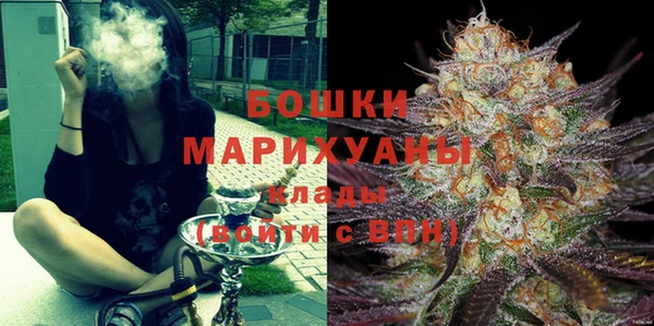СК Гусь-Хрустальный