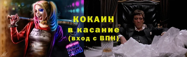 PSILOCYBIN Гусиноозёрск