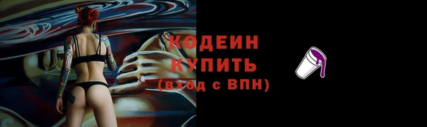 СК Гусь-Хрустальный