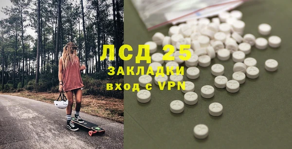 PSILOCYBIN Гусиноозёрск