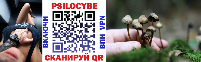 где продают   Нижневартовск  Галлюциногенные грибы прущие грибы 